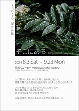 鈴木 千花